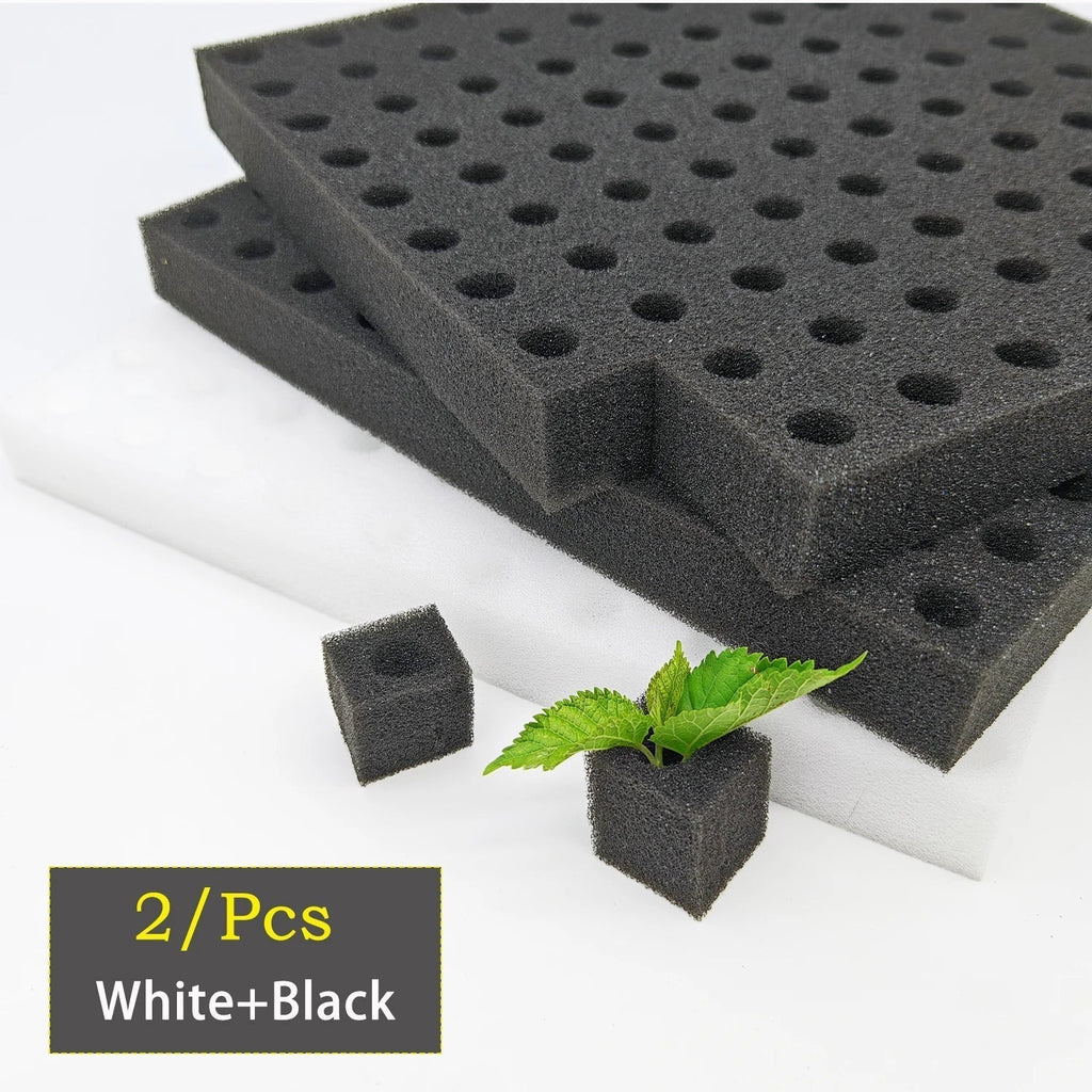 Germina Propagation Sponge Mat | 100 Seed Holes | For Hydroponics & Soil | 25×25cm