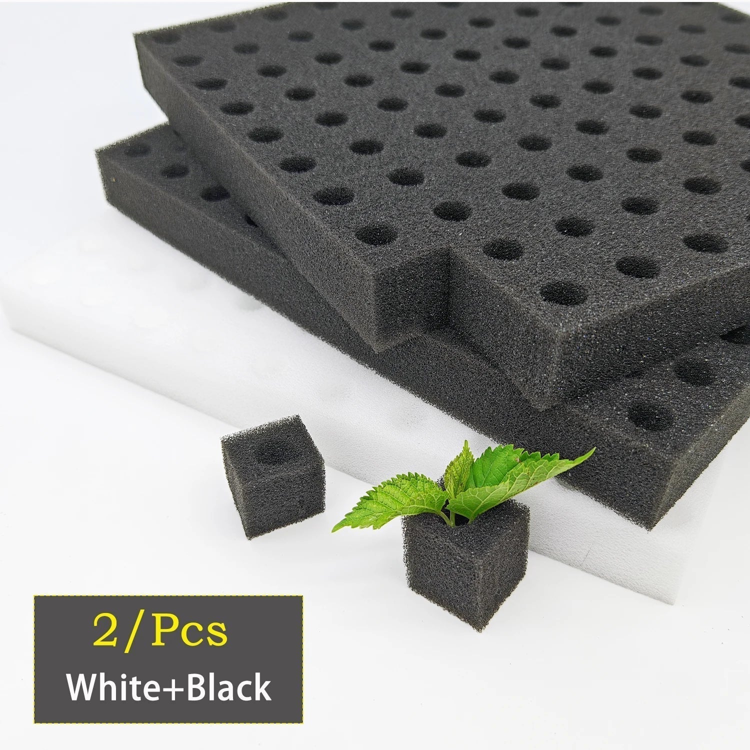 Germina Propagation Sponge Mat | 100 Seed Holes | For Hydroponics & Soil | 25×25cm
