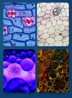 Portable HD Optical Adventure Microscope