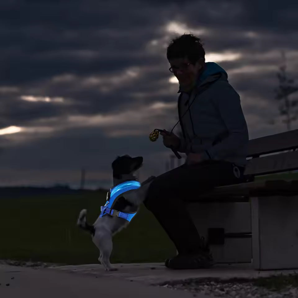 LED Dog Harness USB rechargeable & adjustable