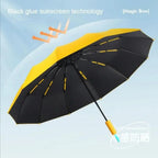 WeatherGuard – Wind and waterproof pocket umbrella