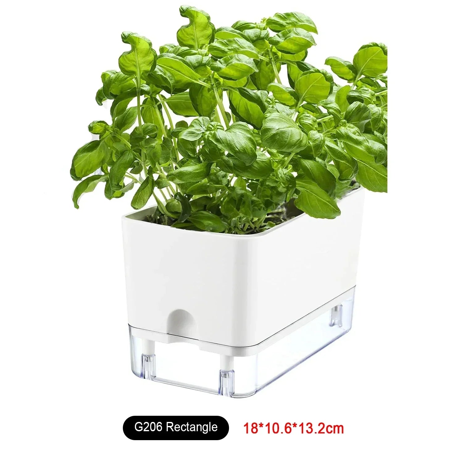 HydroLino Flower Pot | Self-Watering | Compact & Transparent | For Indoor Use