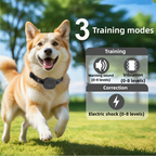 Ultimate Safety 1,574.8 feet Wireless Dog Fence System with Rechargeable, Waterproof Collar