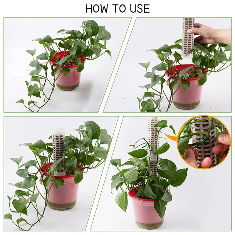 Pillar for climbing plants and green plants – Support columns for vertical plant cultivation