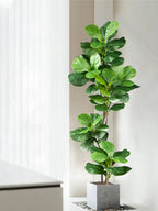 Floraviva Artificial Plant Ficus | Realistic Appearance | 70–135 cm | For Indoor & Outdoor