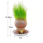 Plant Head DIY Plantable Doll