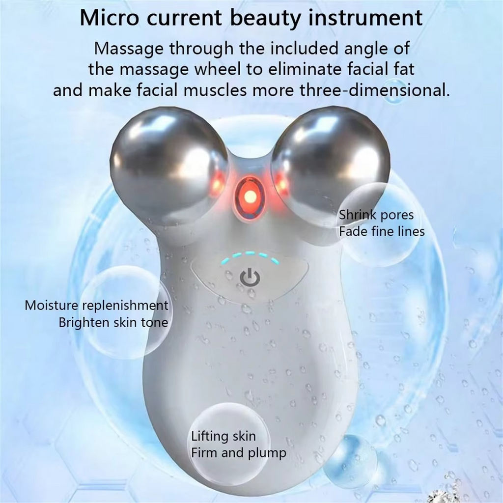 Dual-Head RF & EMS Microcurrent Facial Rejuvenation Device