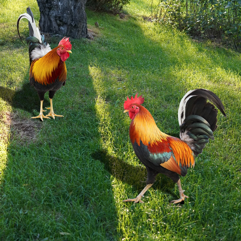 Garden figure: Feathered beauty