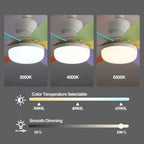 Socket Ceiling Fan with Light