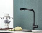 FlexiJet Black extendable kitchen faucet