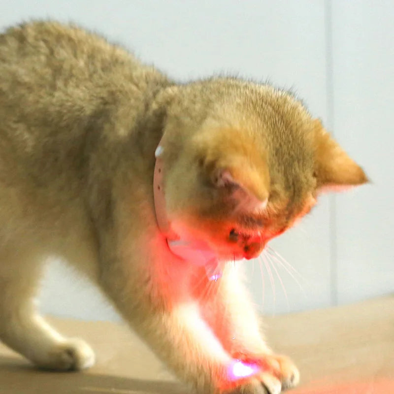 Freesthetic Laser Collar for Cats