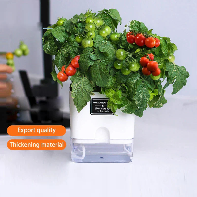 HydroLino Flower Pot | Self-Watering | Compact & Transparent | For Indoor Use