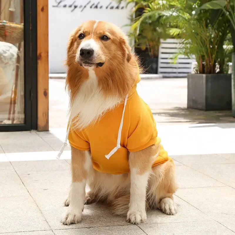 Paws Fleece Hoodie