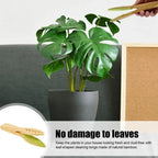 Plant leaf cleaning tongs made of wood for gentle leaf care