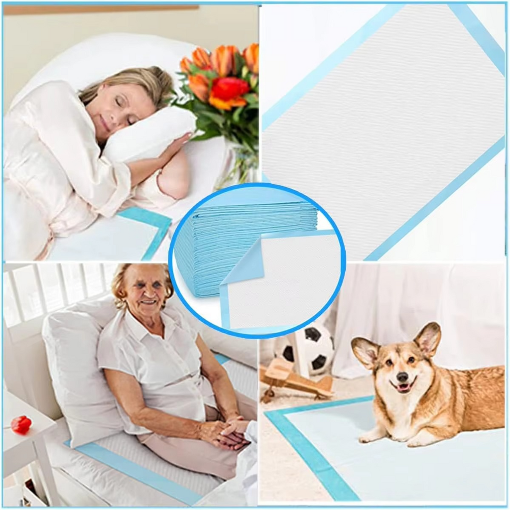 30-Pack Super Absorbent Disposable Urine Pads for Pets and Elderly Care, 13 x 18 Inches