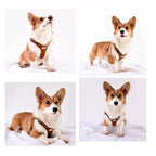 Adjustable Leather Dog Harness with Custom Engraving