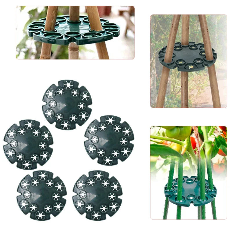 Plant support ring for bamboo poles – Stable climbing aid for tomatoes and climbing plants
