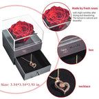 Natural Eternal Rose Necklace Jewelry Box