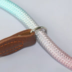 Colorful Dog Leash for Stylish Walks