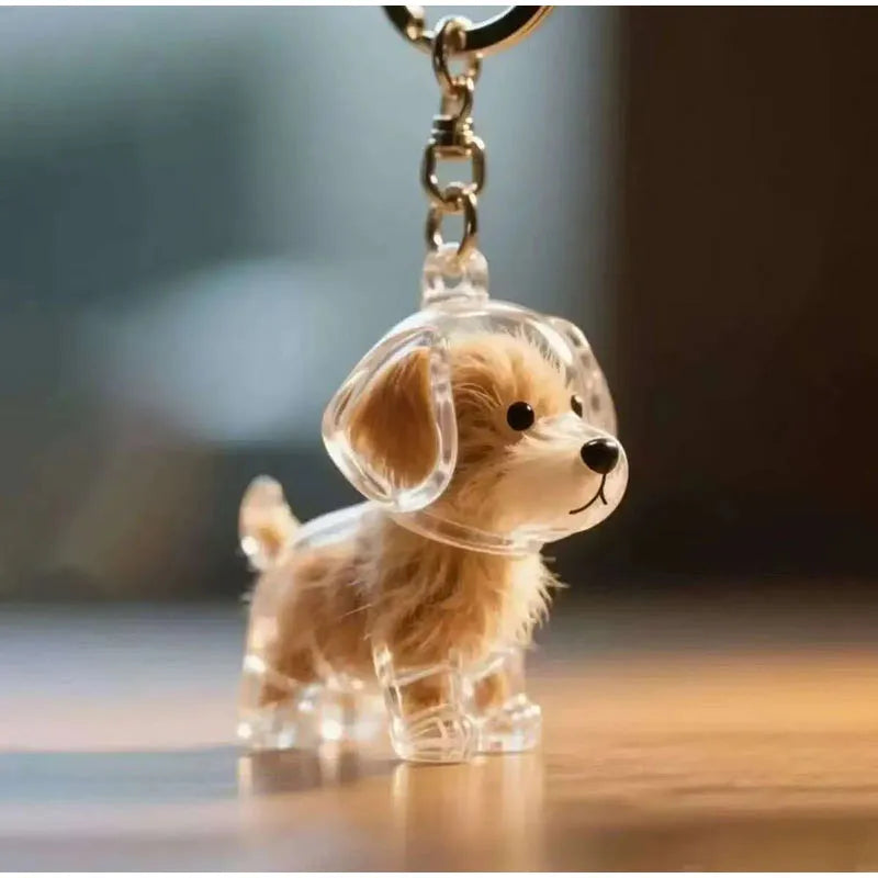 Transparent fur memory tag