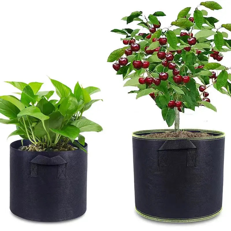 Planting bag made of nonwoven fabric – Robust garden container with handles for plants