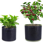 Planting bag made of nonwoven fabric – Robust garden container with handles for plants