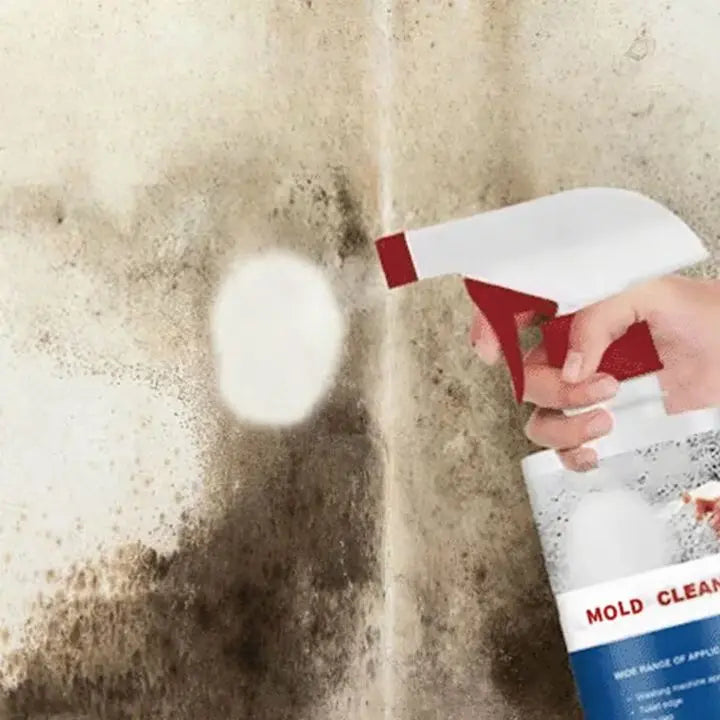 Mold Remover Foam Spray