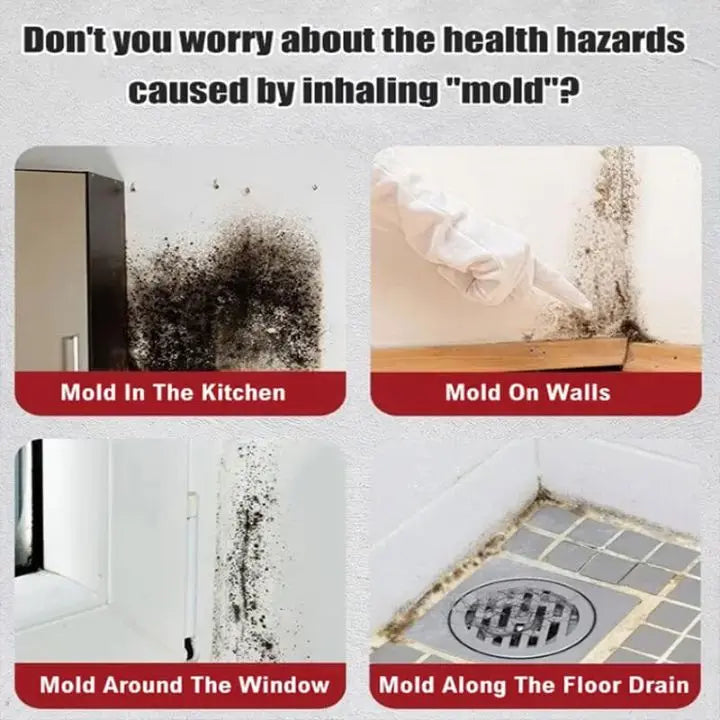 Mold Remover Foam Spray