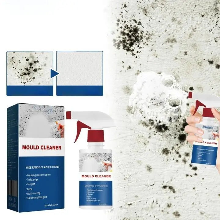 Mold Remover Foam Spray