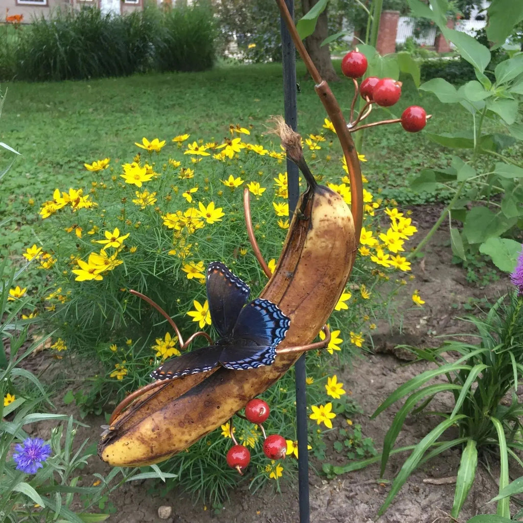 Butterfly Banana Holder – Natural Attraction