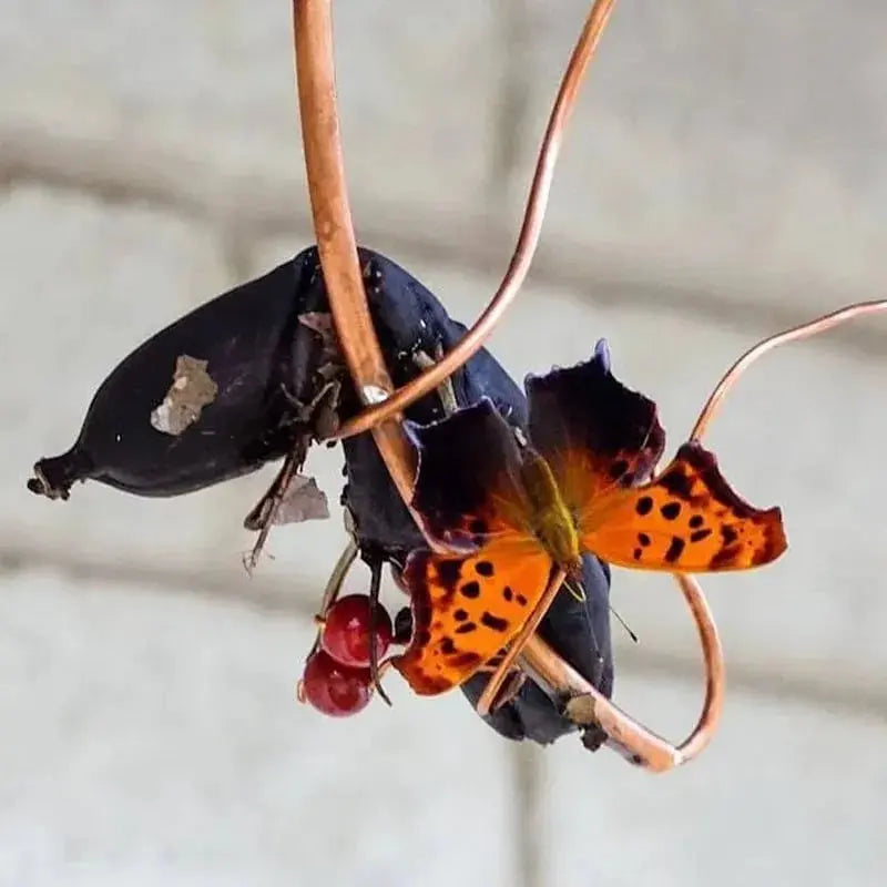 Butterfly Banana Holder – Natural Attraction