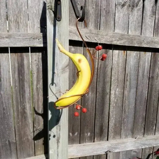 Butterfly Banana Holder – Natural Attraction