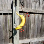 Butterfly Banana Holder – Natural Attraction