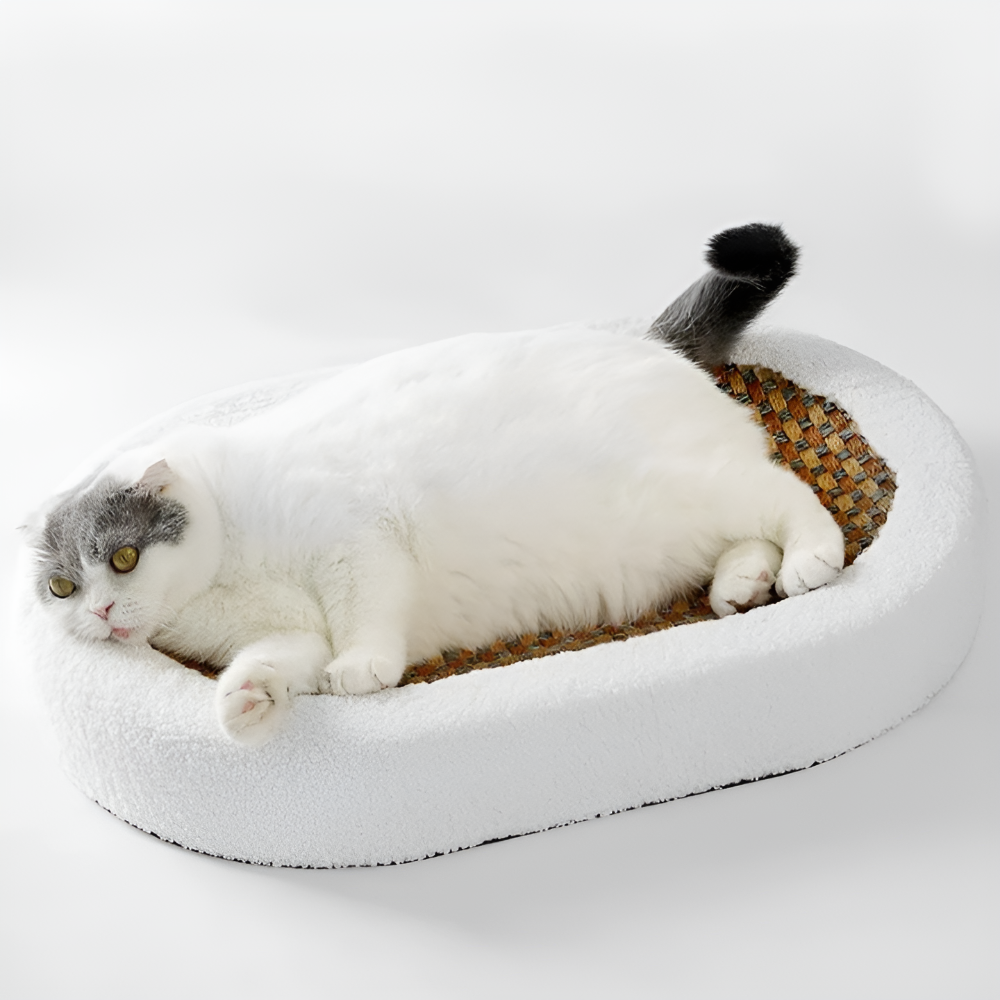 Luxury Cat Bed with Scratching Surface – Plush 2-in-1 Cat Furniture