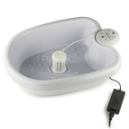 Detox Foot Spa