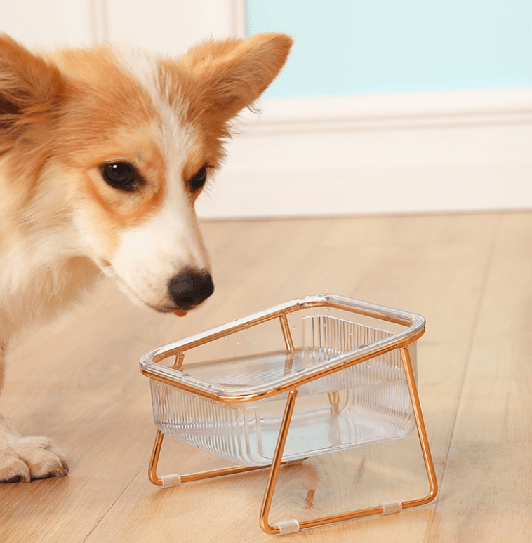 Raised food bowl for cats & small dogs