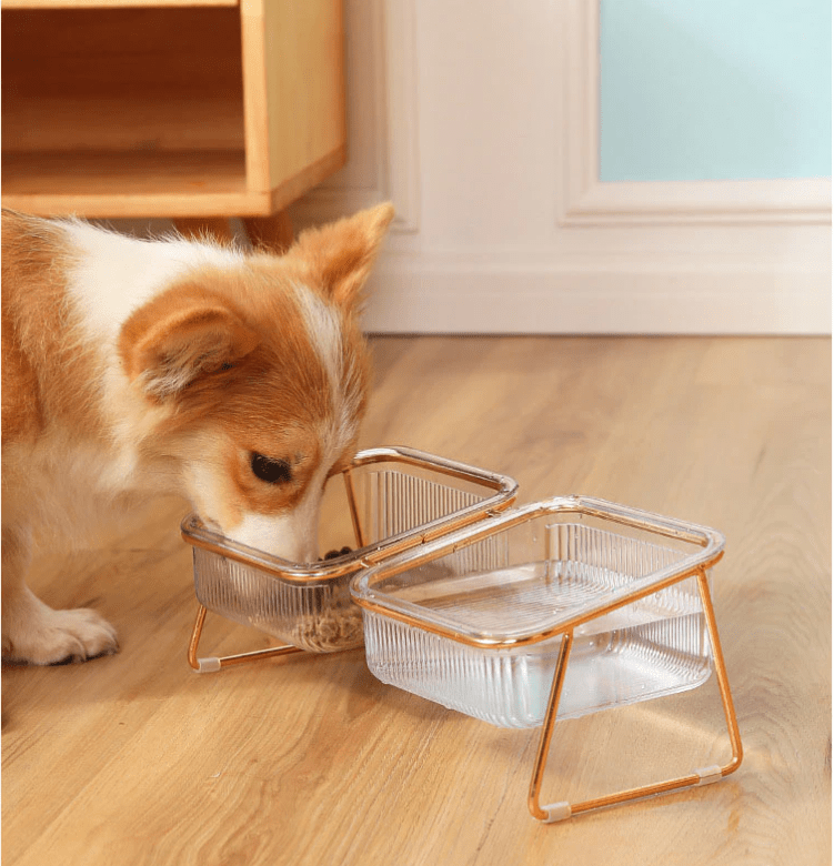 Raised food bowl for cats & small dogs
