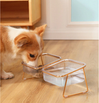 Trendy Feeder for Stylish Animals