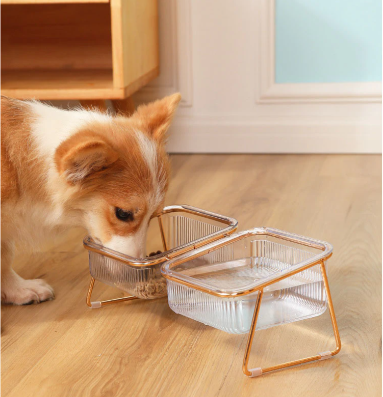 Trendy Feeder for Stylish Animals