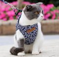 Stylish Cat Harness with Matching Leash - Comfortable and Easy to Wear, Adjustable Fit for Cats and Kittens