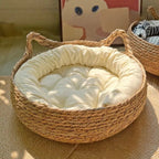 Haven Pet Retreat