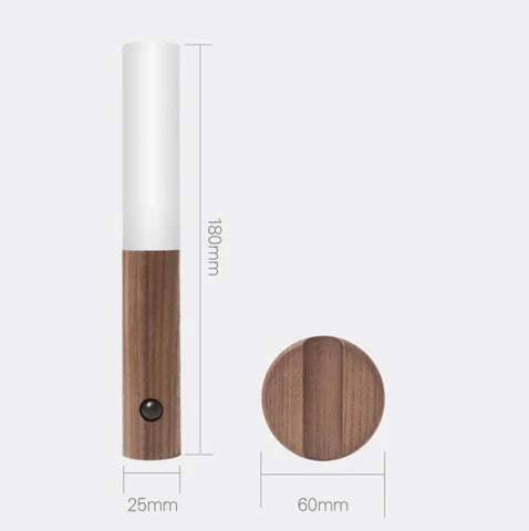 Mountable Motion Sensor Light
