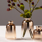 Gradient Vases