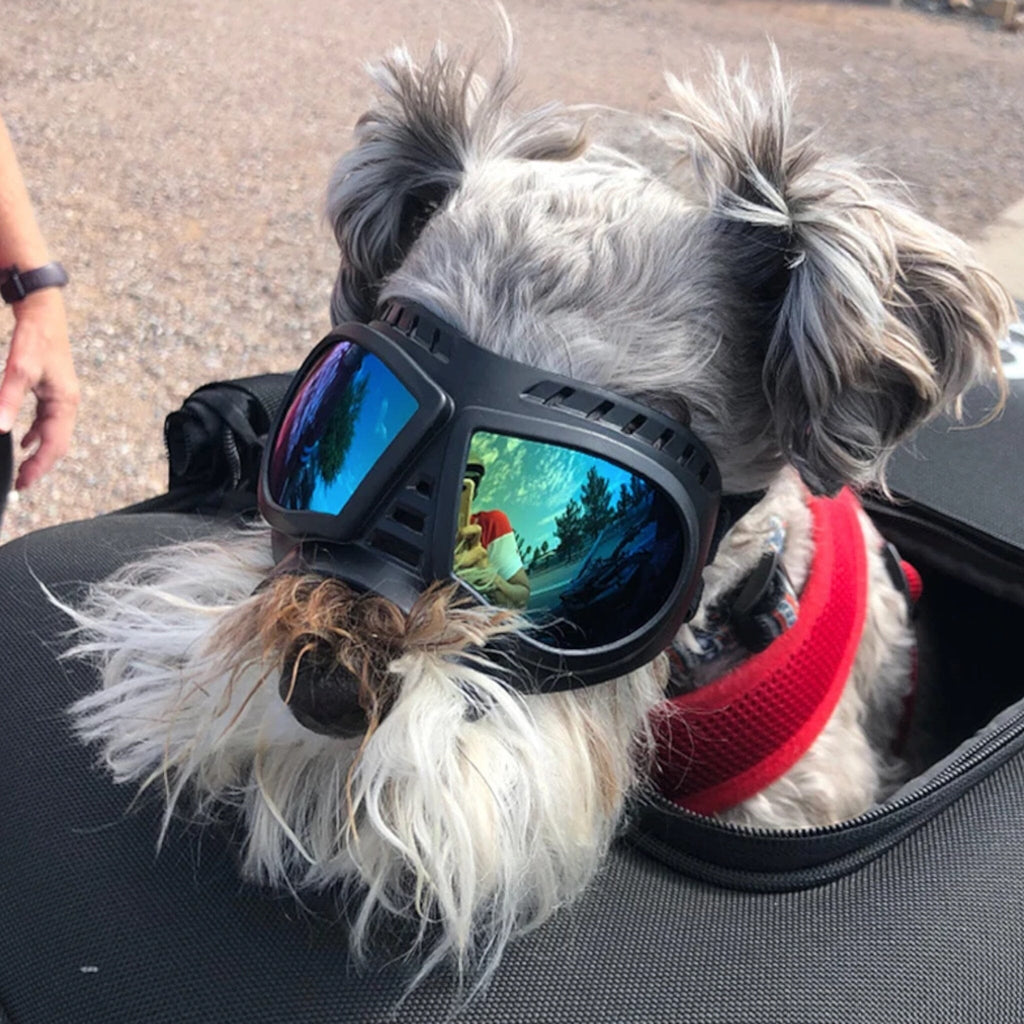 Shadow Dog Goggles