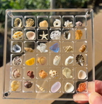 Acrylic Treasure Keeper | Stylishly Store Your Sea Collection