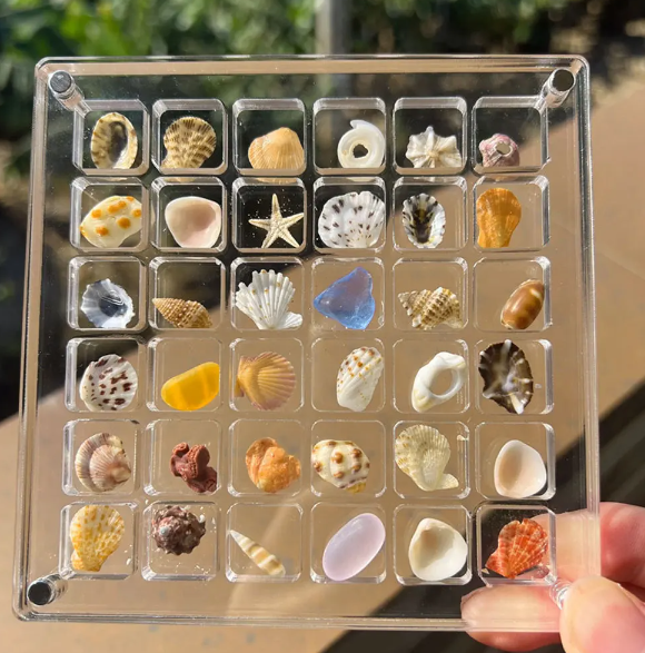 Acrylic Treasure Keeper | Stylishly Store Your Sea Collection
