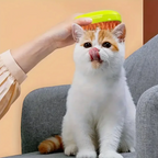 3-in-1 Steam Care Brush | Ultimate Tool for Pet Care