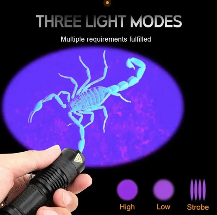UV-LED flashlight – Ultraviolet light for stain detection and pet urine detection