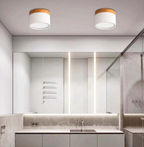 Morandi-inspired Modern LED ceiling lamp
