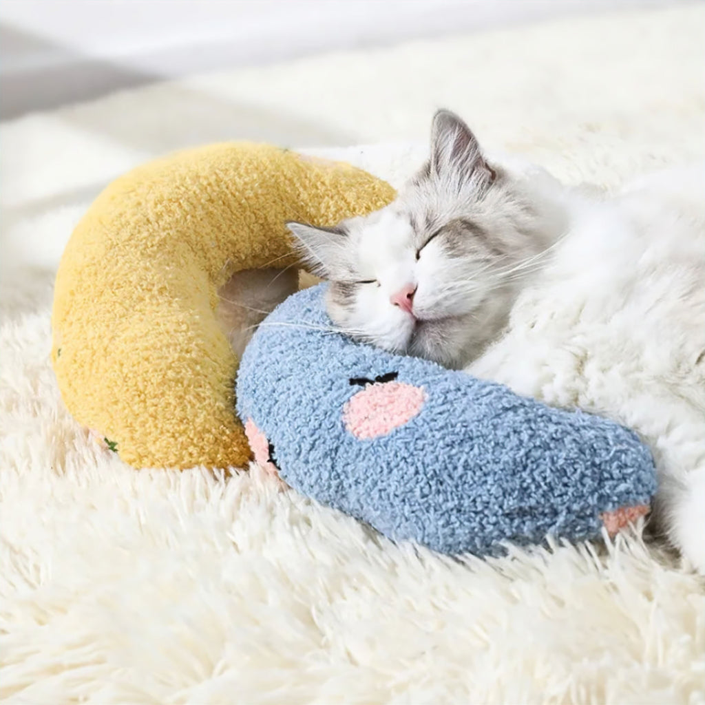 Paw Cushion